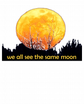 we all see the same moon-effects-3383x4192